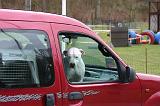 VOITURE - CAR 200